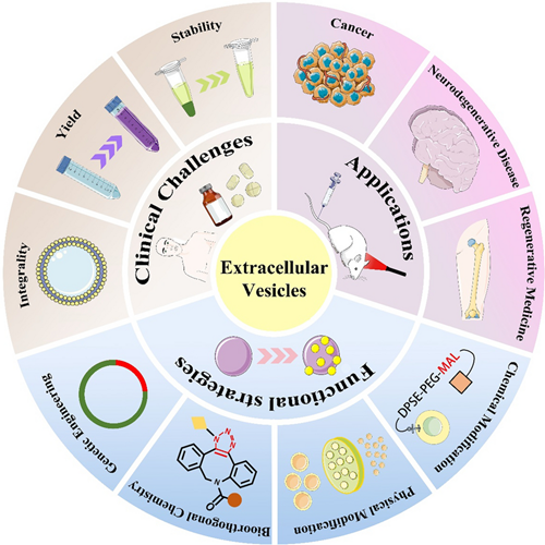 bioactive molecules