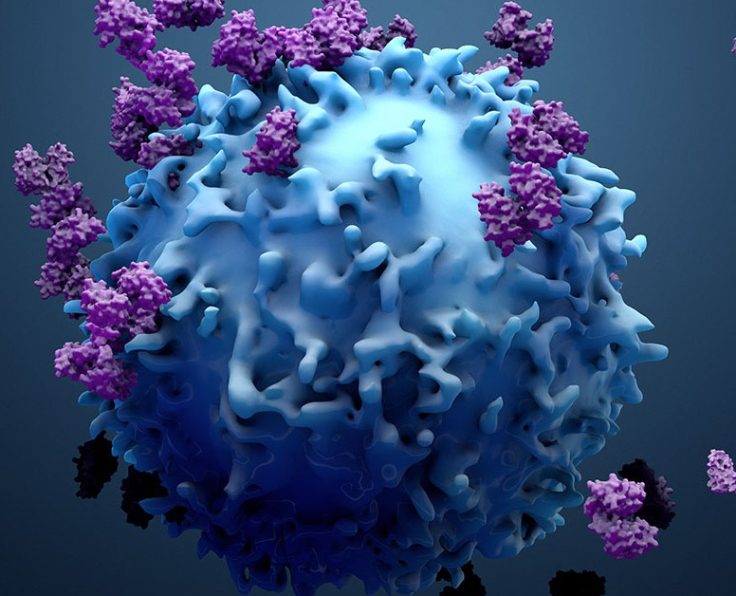 cancer-immunotherapy